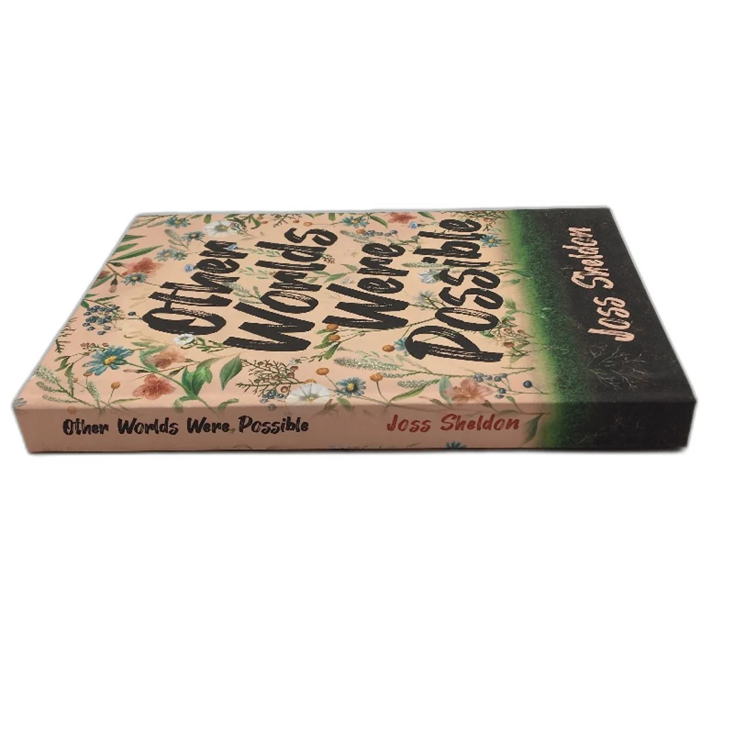 Other Worlds Were Possible Hardback Novel By Joss Sheldon NEW - Image 3