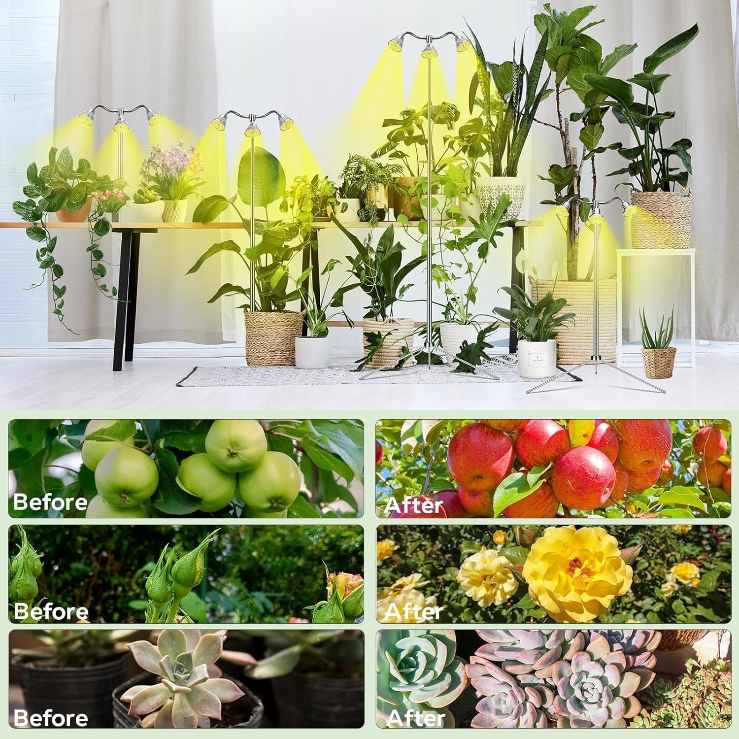Adjustable Full Growing Lamps Spectrum LED Grow Light for Indoor Plants - DEMO - Image 7