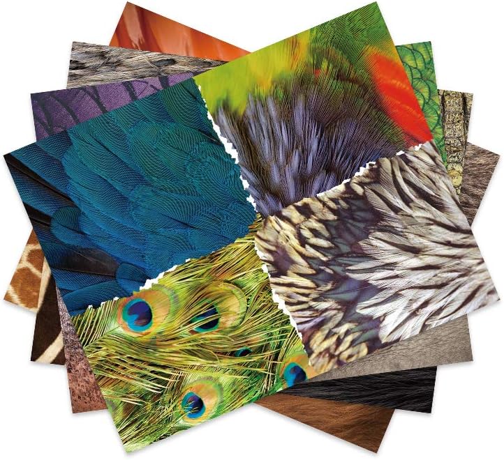 Mier Education Small Art Paper Collage Craft Supplies for Creative Projects NEW - Image 3