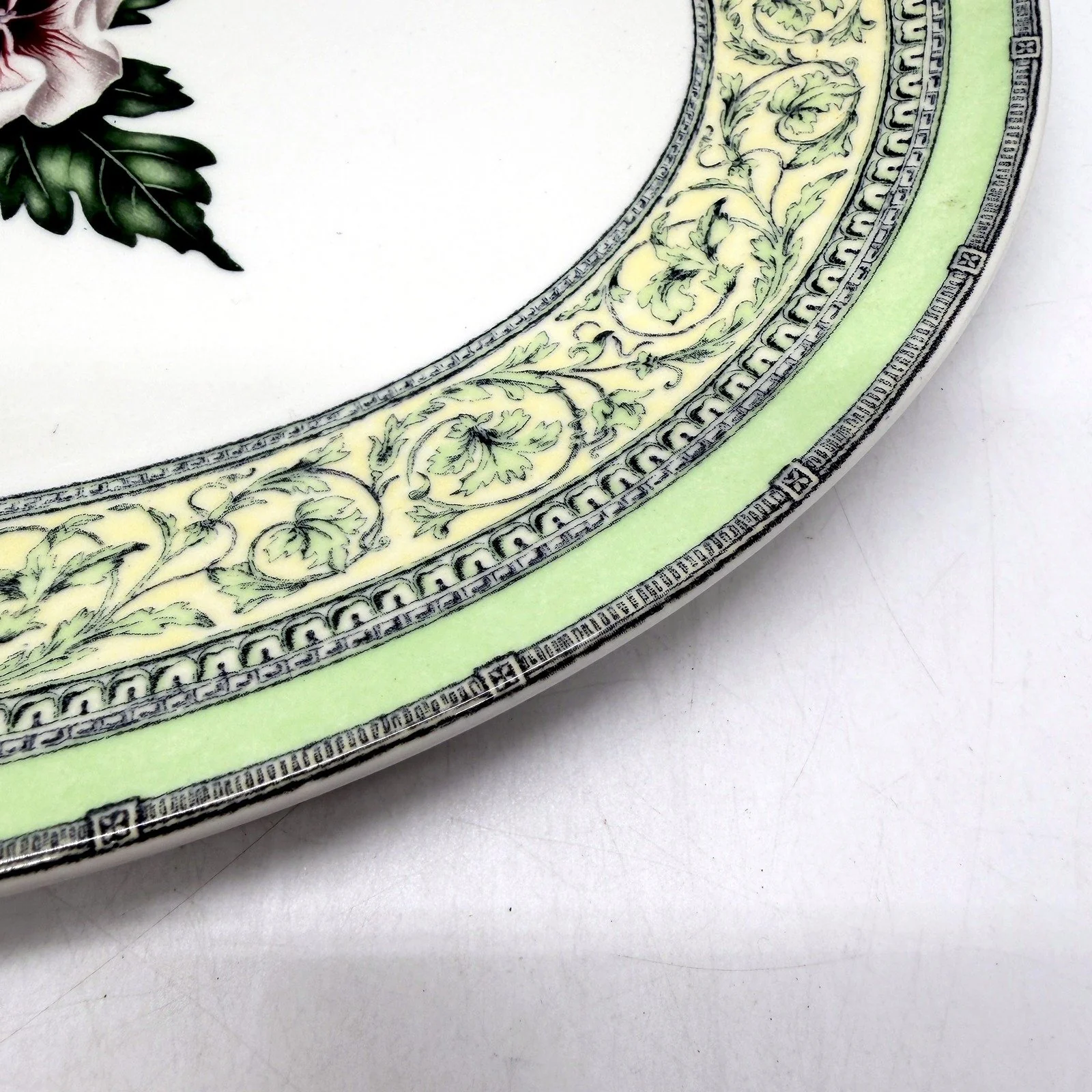 COLLECTABLE The Royal Horticultural Society Applebee Collection Decorative Plate - Image 5
