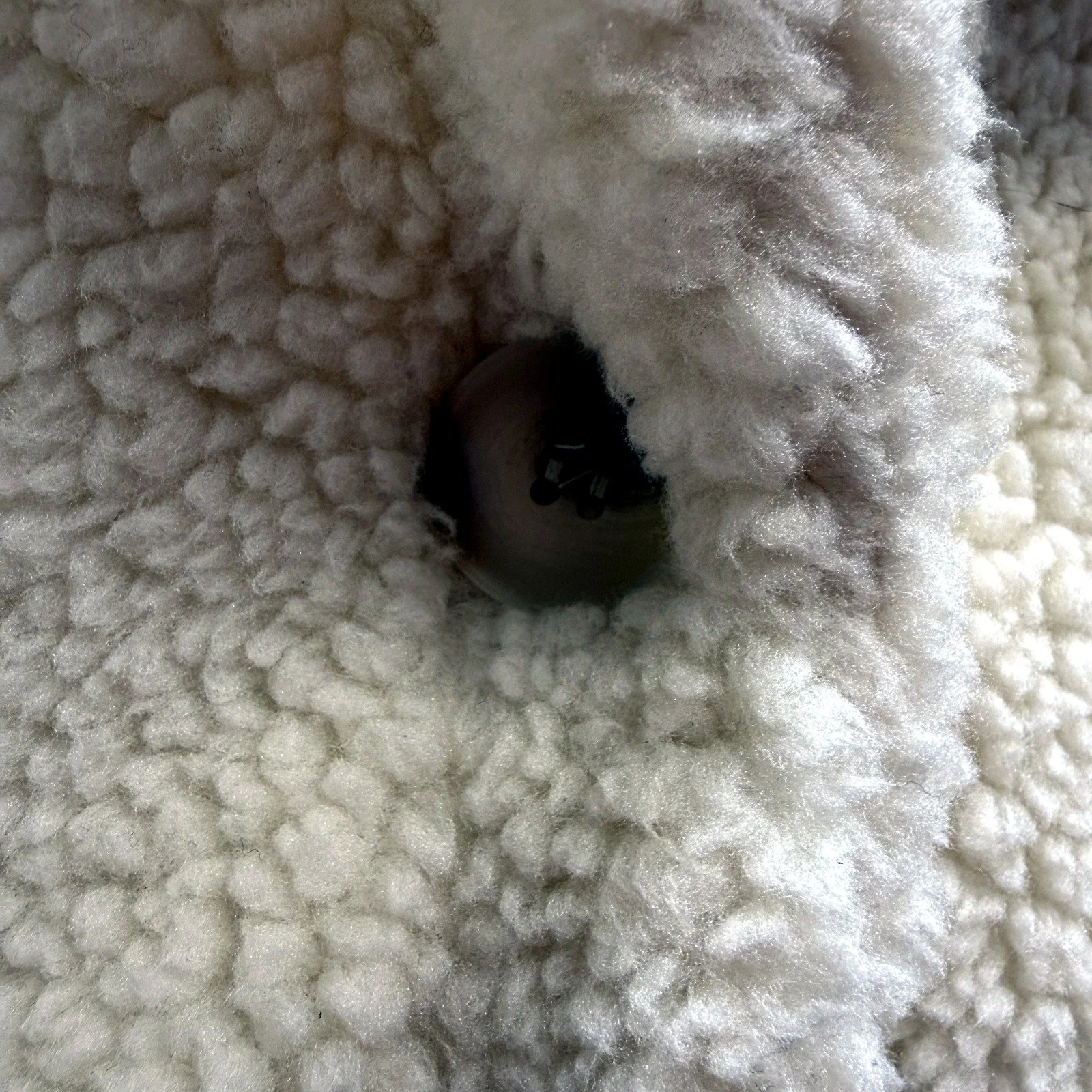Petal + Pup Womens Teddy Coat Fuzzy Cozy Pullover Sweatshirt Jacket White/Cream - Image 4